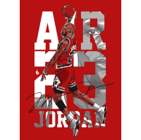 air23-jordan