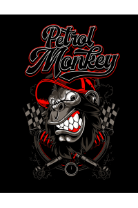 petrol_monkey_racing